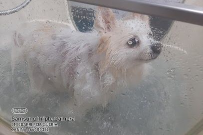 ¿Donde puedo bañar a mi mascota? Aquí, en Garbitxakur 